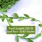 328 Ft Artificial Leaf Ribbon – Jungle Greenery Vine String Trim for Wedding, Baby Shower, Party, Home Decor, Wreaths, and DIY Crafts
